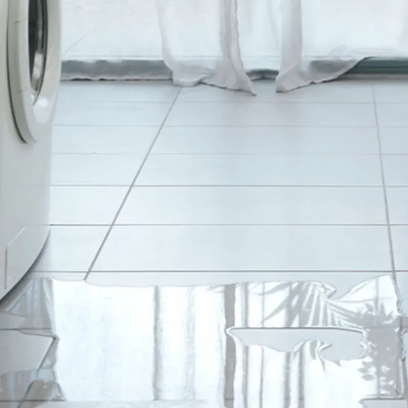 Appliance Leak Cleanup in Trentwood, WA
