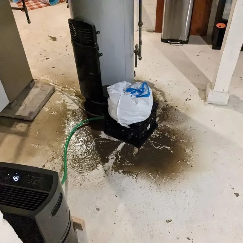 Sewage Backup Cleanup Service in Trentwood, WA